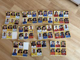 Panini Euro 2012 Stickerbogen Lot