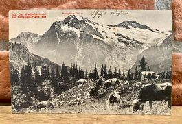 Das Wetterhorn von der Schynige-Platte aus - Berner Oberland