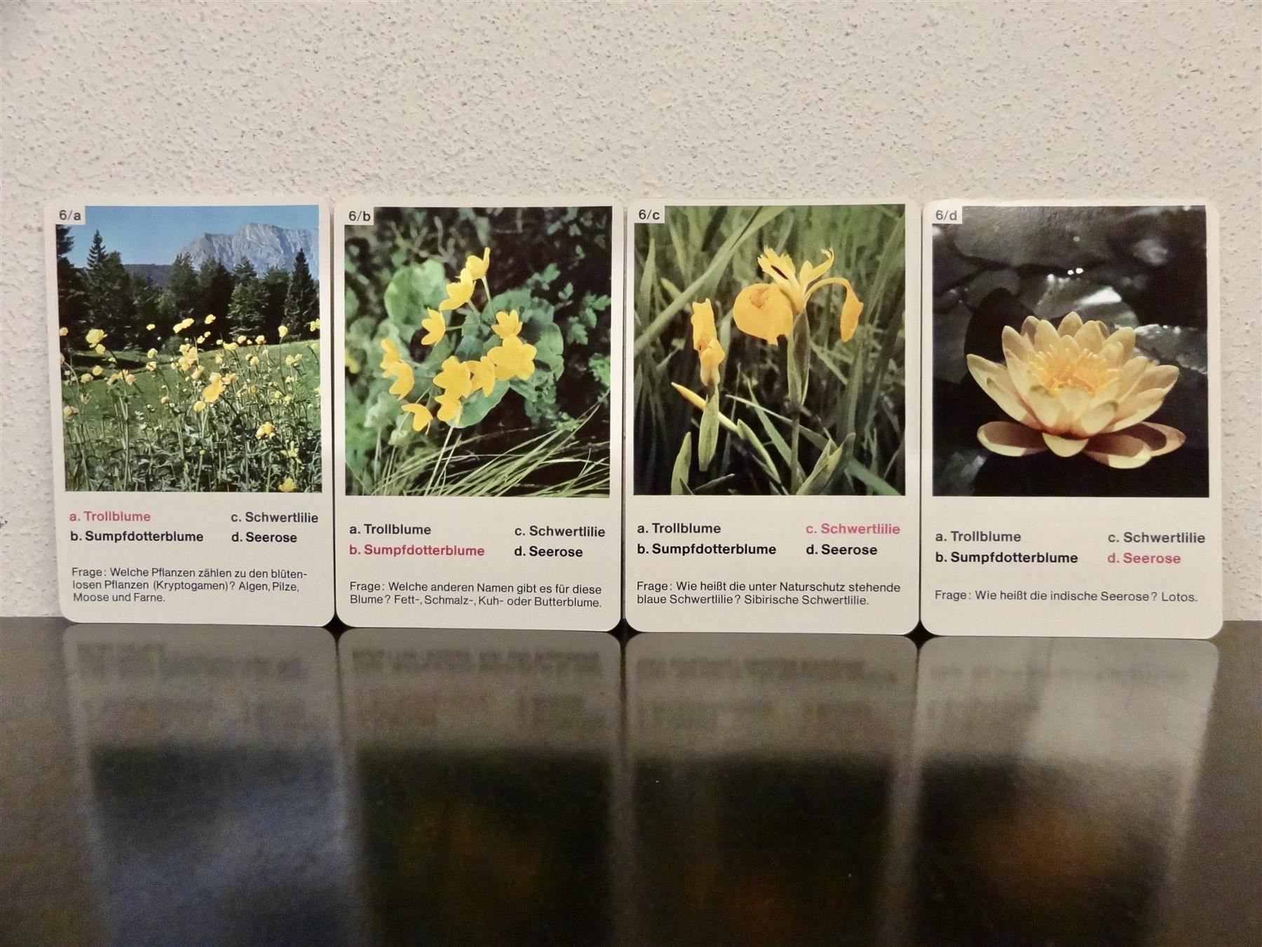 Giochi: altes Quartett BLUMEN-QUARTETT BLUMEN – Usato da Kerzers venduto da wisaundso 6