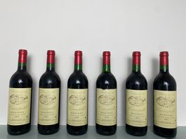6x Domaine du Crampilh Madiran 1993 Frankreich