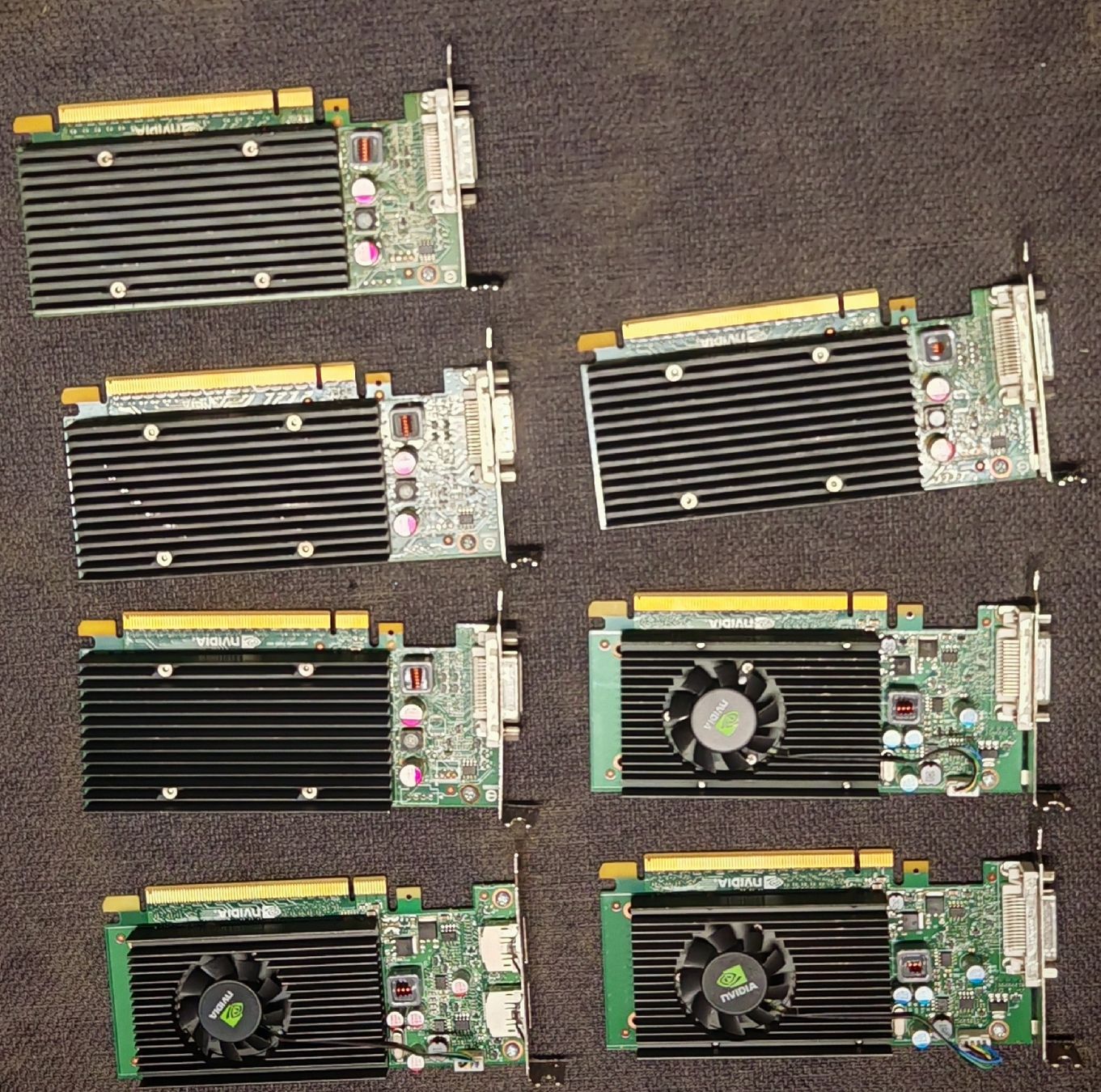 Nvidia Schede grafiche: 7 x Nvidia NVS 300 - 310 – Usato da Herisau venduto da kn_ir