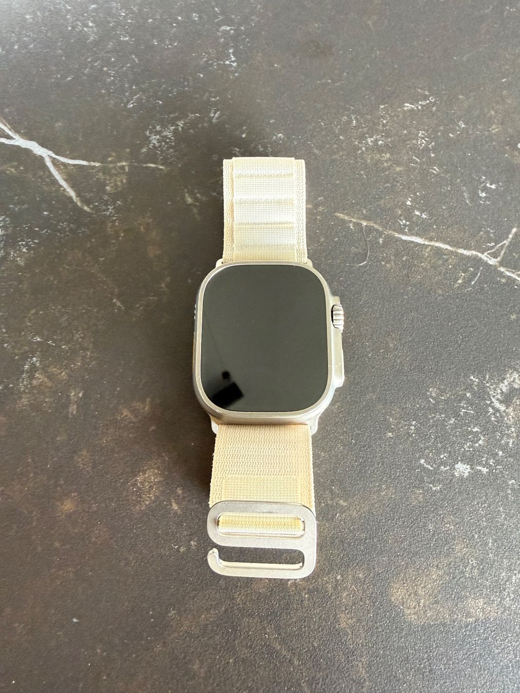 Apple Smartwatch: Apple Watch Ultra 1 mit Alpine Loop Armband – Usato da Härkingen venduto da Applemania 4