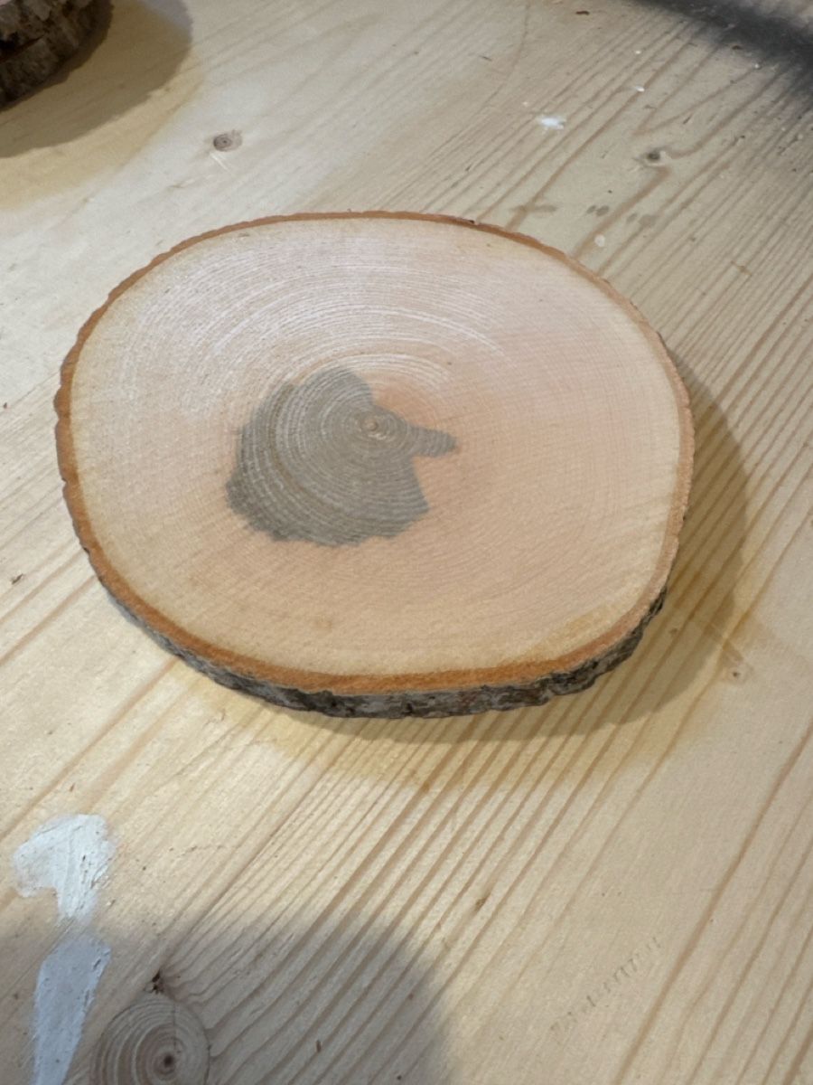 Articoli in legno: Holzscheiben – Usato da Brunnen venduto da Holz-style