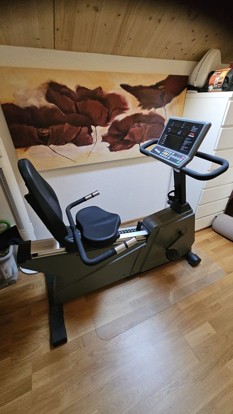 Hometrainer: Johnson JPB 5100 liegefahrad Trainer – Usato da Rüti ZH venduto da Madeira14