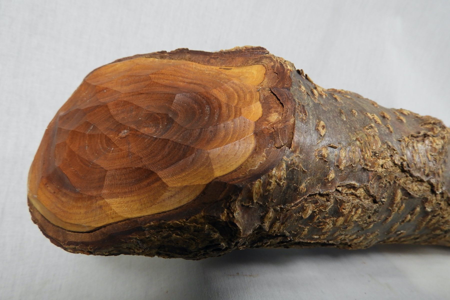 Masken: Echte Kriener Maske aus einen Holzast – Gebraucht aus Horw von luzernicus 2