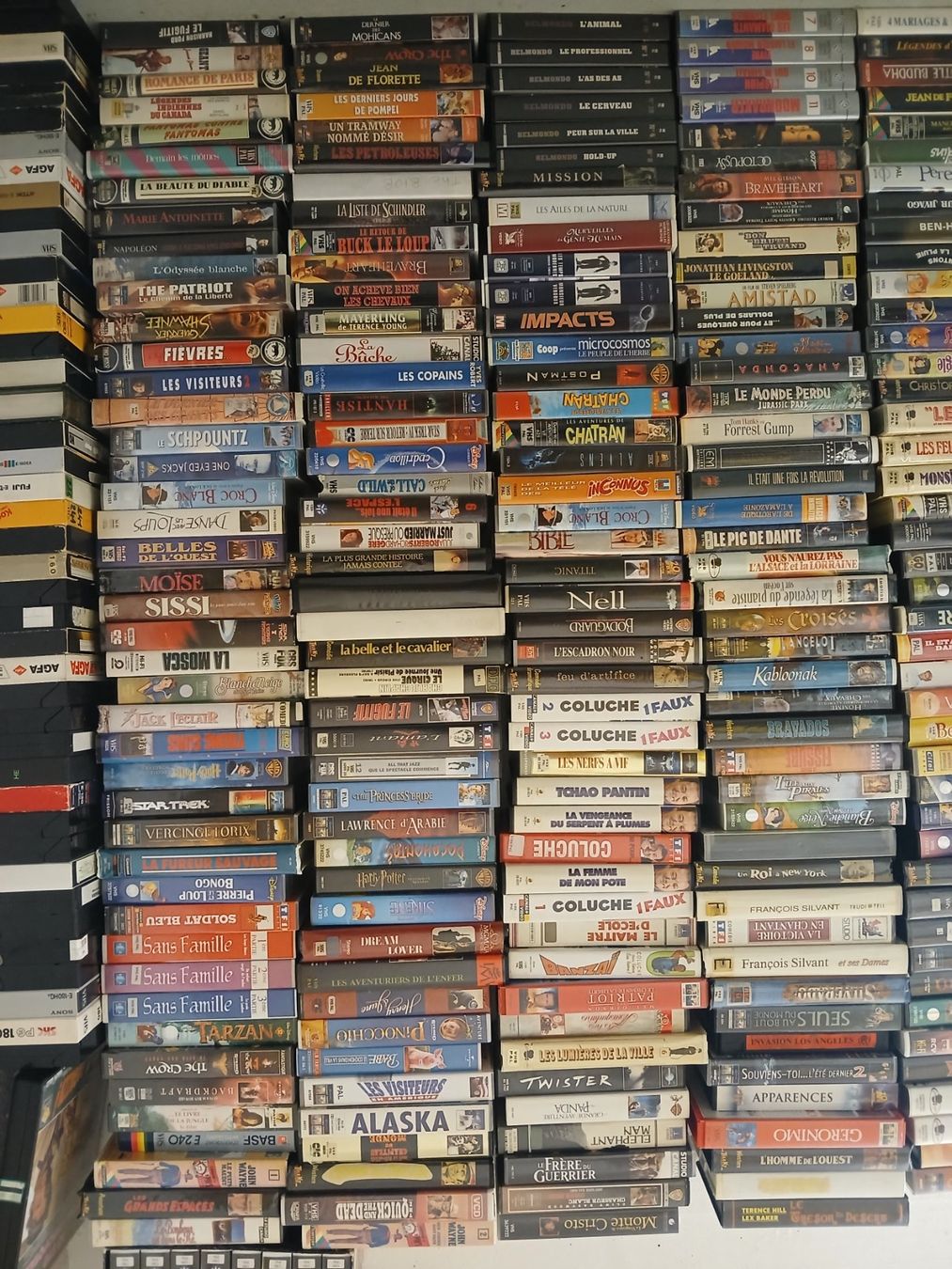 Tutti i VHS: lot d'environ 270 cassettes VHS – Usato da St-Cergue venduto da VeganWarrior 1