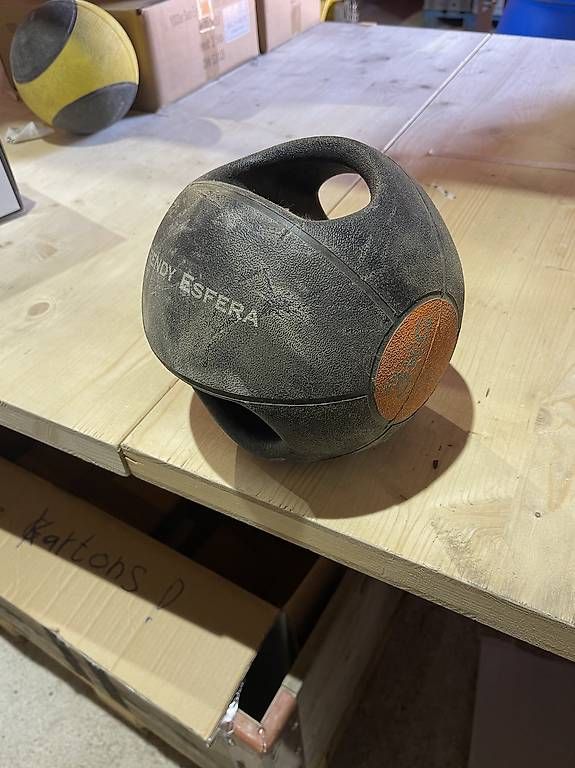 Hometrainer: Trendy Esfera mit Griff – Usato da Reichenbach i. K. venduto da fra_vpj6 1
