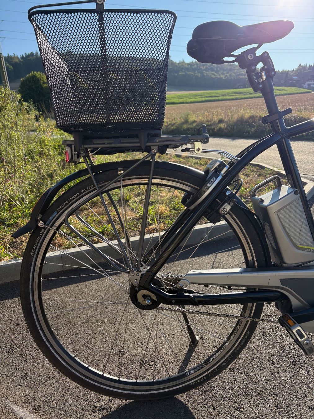 Flyer Biciclette: Herren e-Bike Flyer T11 (2015) mit 2 Akkus – Usato da Pfäffikon SZ venduto da Smile6870 1