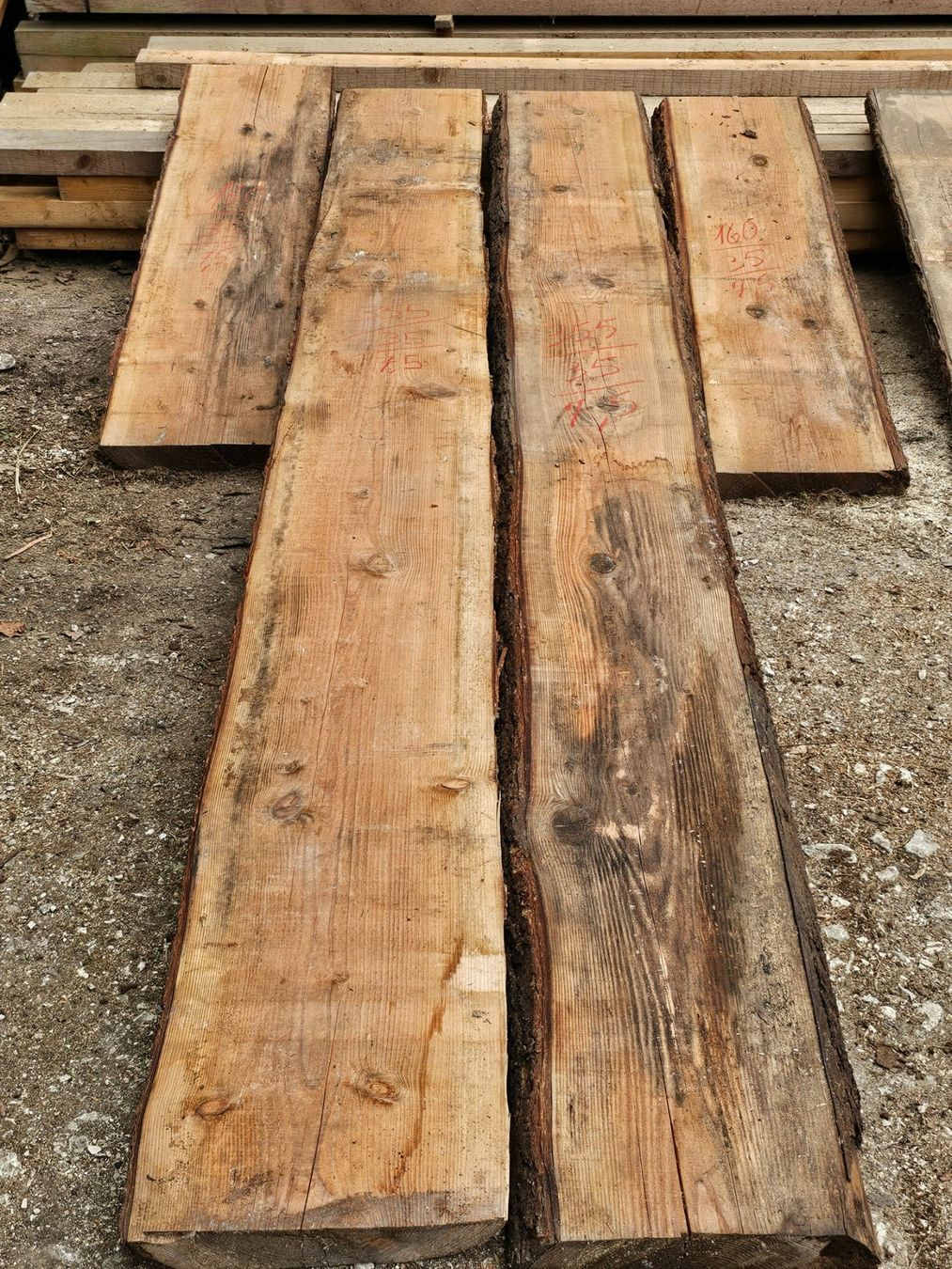 Articoli in legno: Douglasienholz – Nuovo (secondo la descrizione) da Aarburg venduto da Joerg.Andre 3