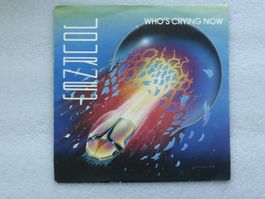 Vinyl Single  JOURNEY