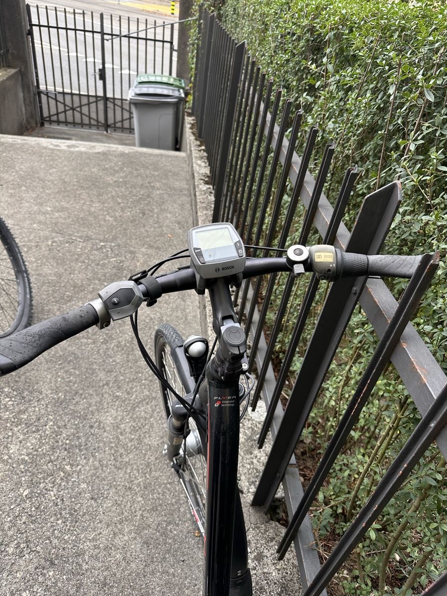 Flyer Biciclette: Flyer ohne Akku – Difettoso da Zürich venduto da MyCellar 1