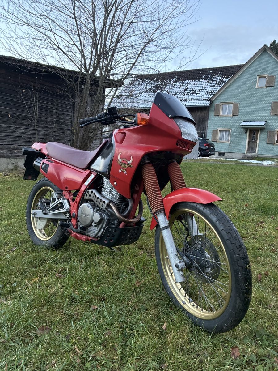 Enduro: Honda Dominator 650 – Usato da St. Gallen venduto da MarkoBoss 1