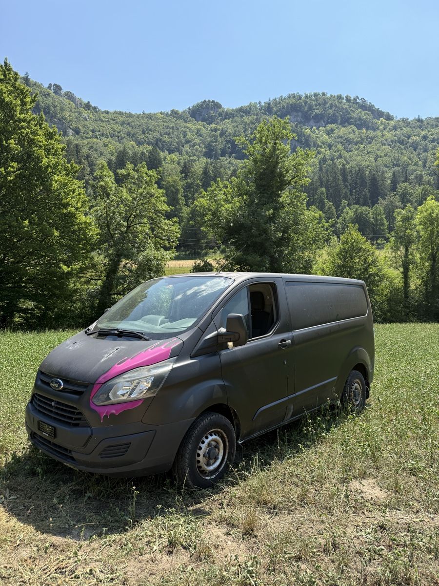 Ford Véhicules utilitaires: Ford Transit Custom Diesel – D'occasion à Breitenbach par Looneybs