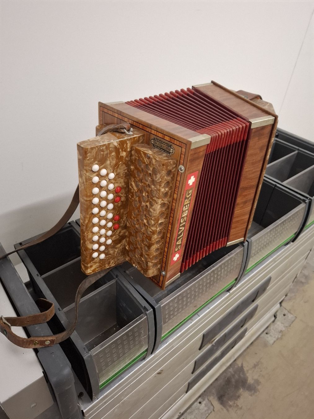 Strumenti musicali: salvisberg orgeli – Usato da Villeneuve venduto da BibiVintage 1