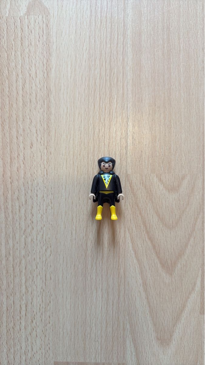 Playmobil Giocattoli: ÜEI Playmobil - DC Superhelden – Nuovo (secondo la descrizione) da Zürich venduto da magic.elefant