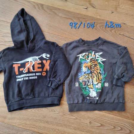 2 Pullover 98/104 h&m T-Rex Tiger Motiv