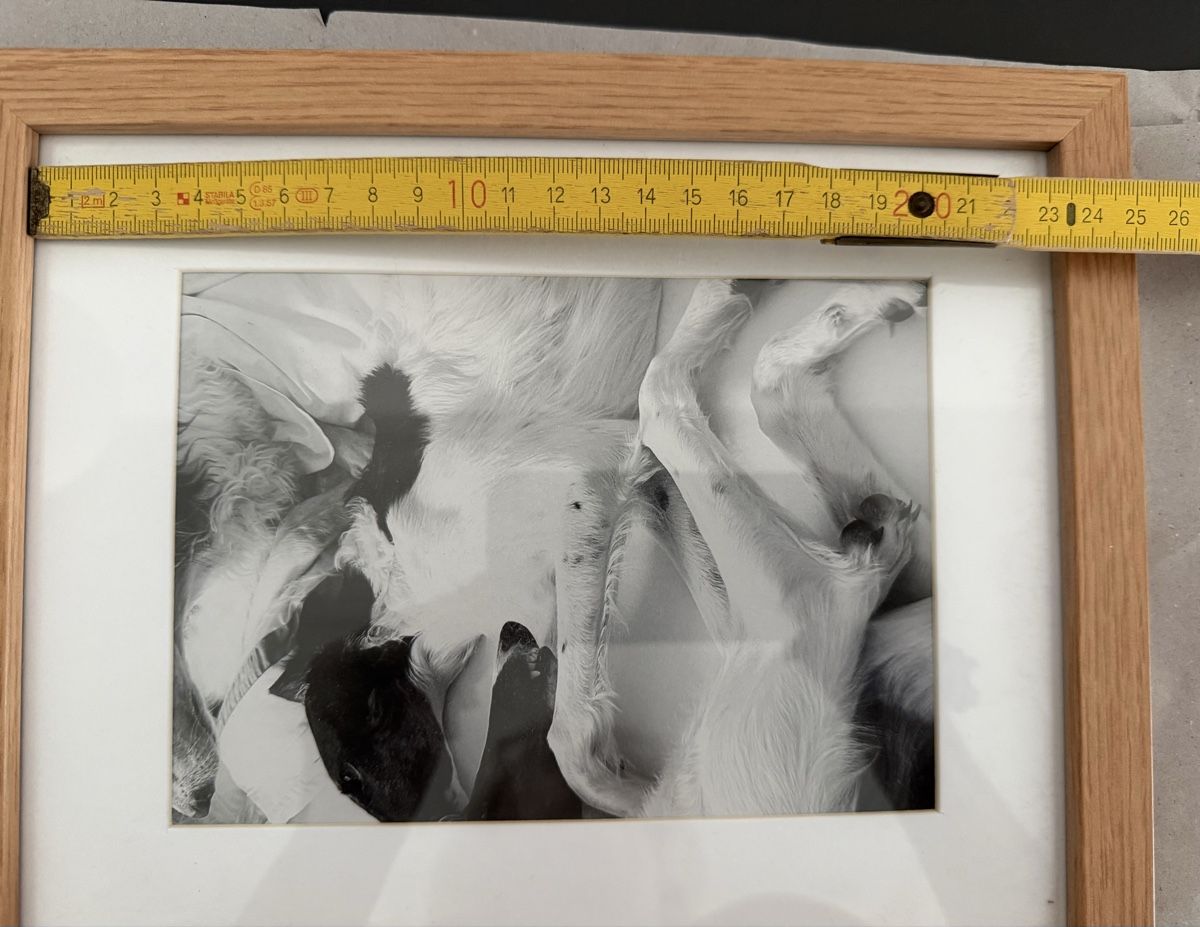 Bilderrahmen: Fotorahmen Holz  – Gebraucht aus Pfeffikon LU von pepino17 4