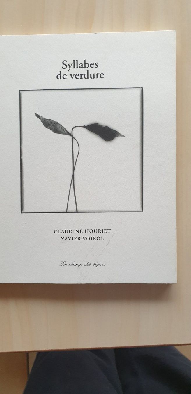 Libri: Syllabes de verdure - Le champ des signes – Nuovo (secondo la descrizione) da Delémont venduto da 4train4
