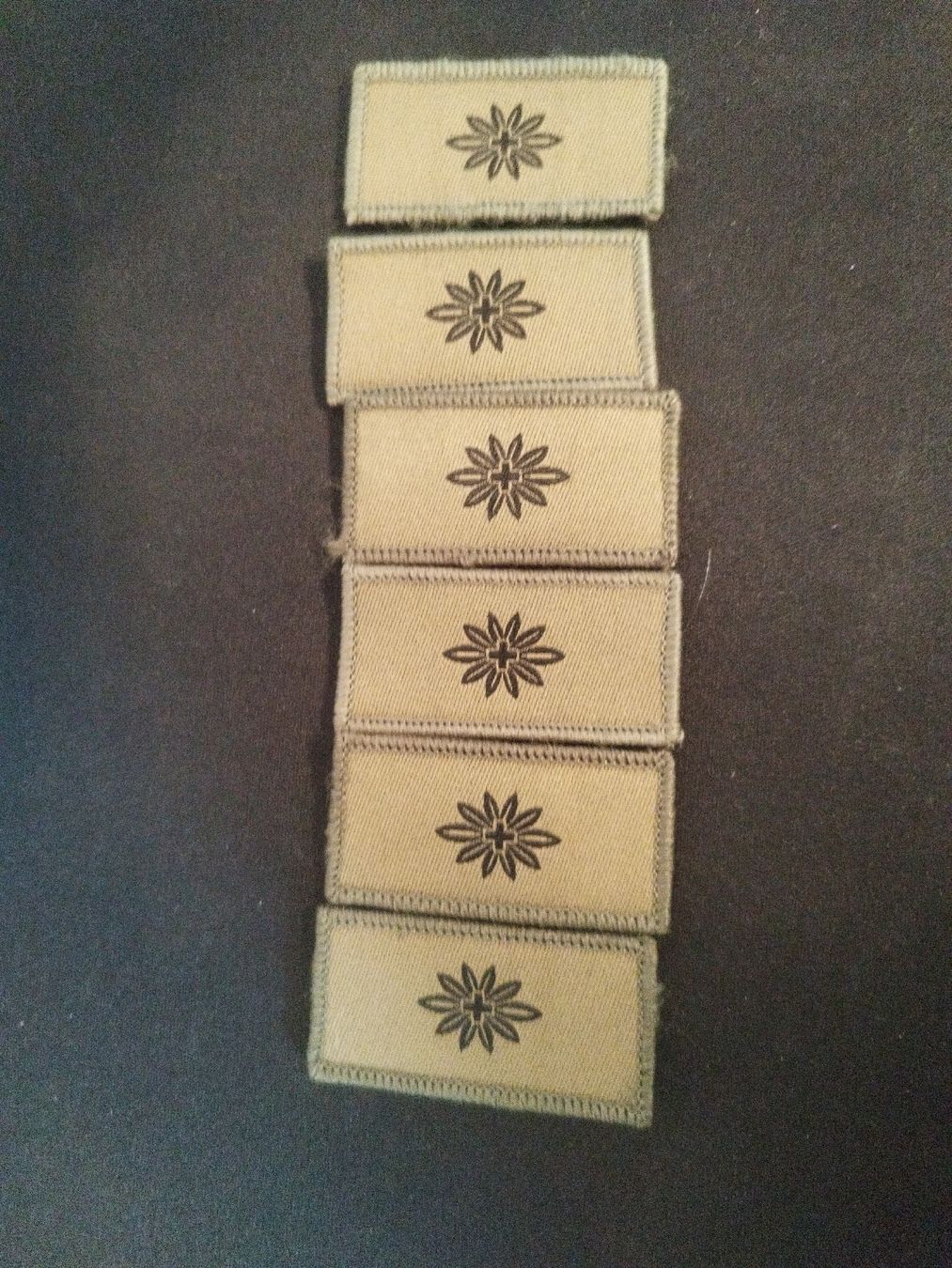 Schweizer Armee Toppe: Schweizer Armee Stoffabzeichen Edelweiss, 6 Stk. – Usato da Zug venduto da Humdudel