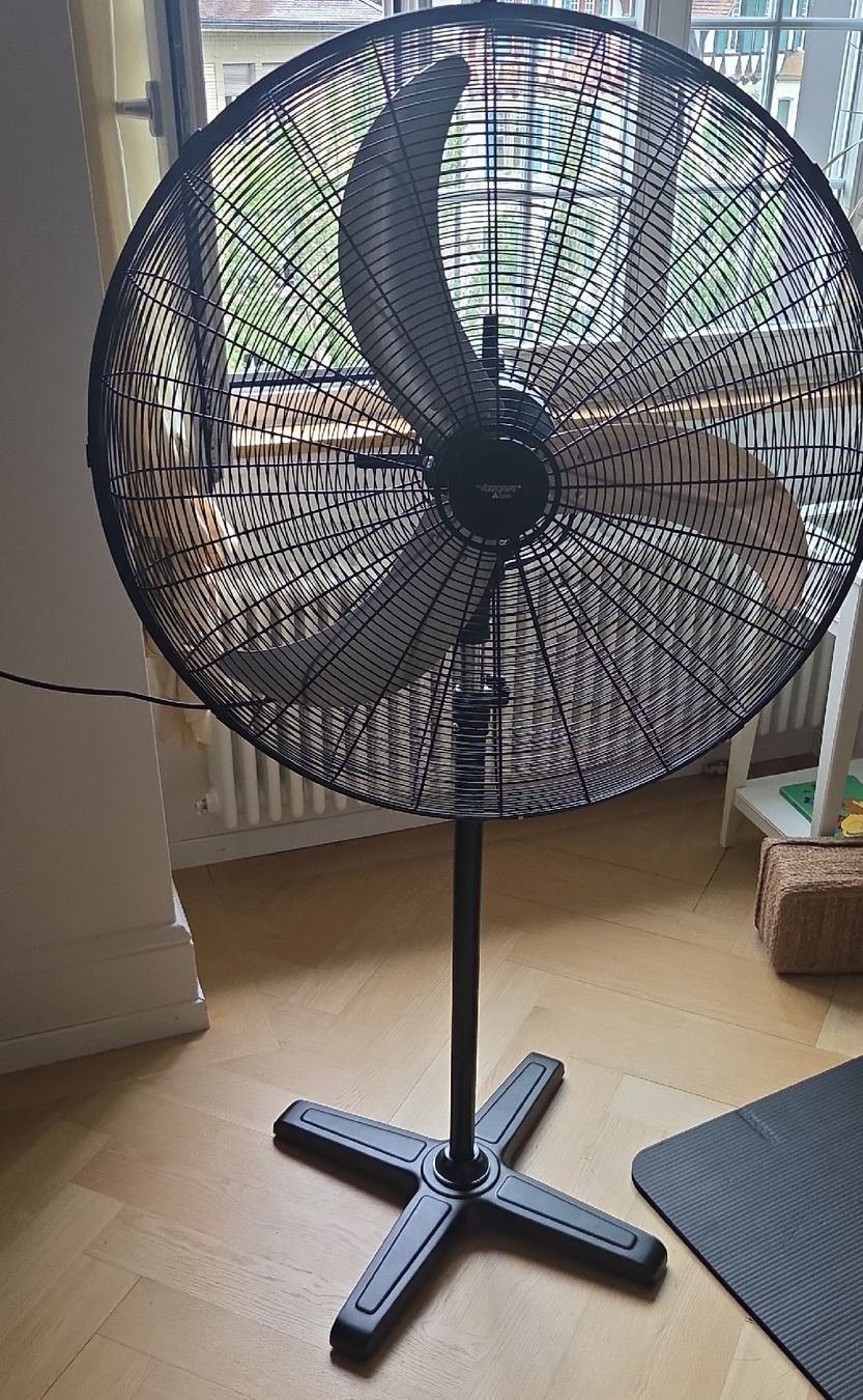 Ventilatoren: Standventilator schwarz Durchmesser ca. 75cm – Gebraucht aus Bern von bra_y8xv