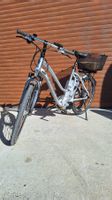 E-Bike Flyer L10 Deluxe