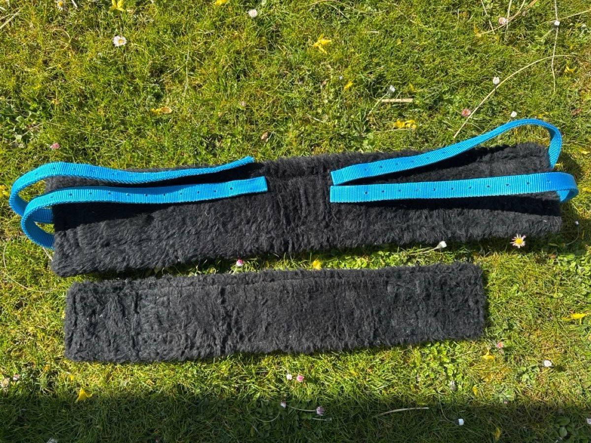 Gürtel: Longiergurt Pony, violet/blau – Gebraucht aus Elsau von CTN20