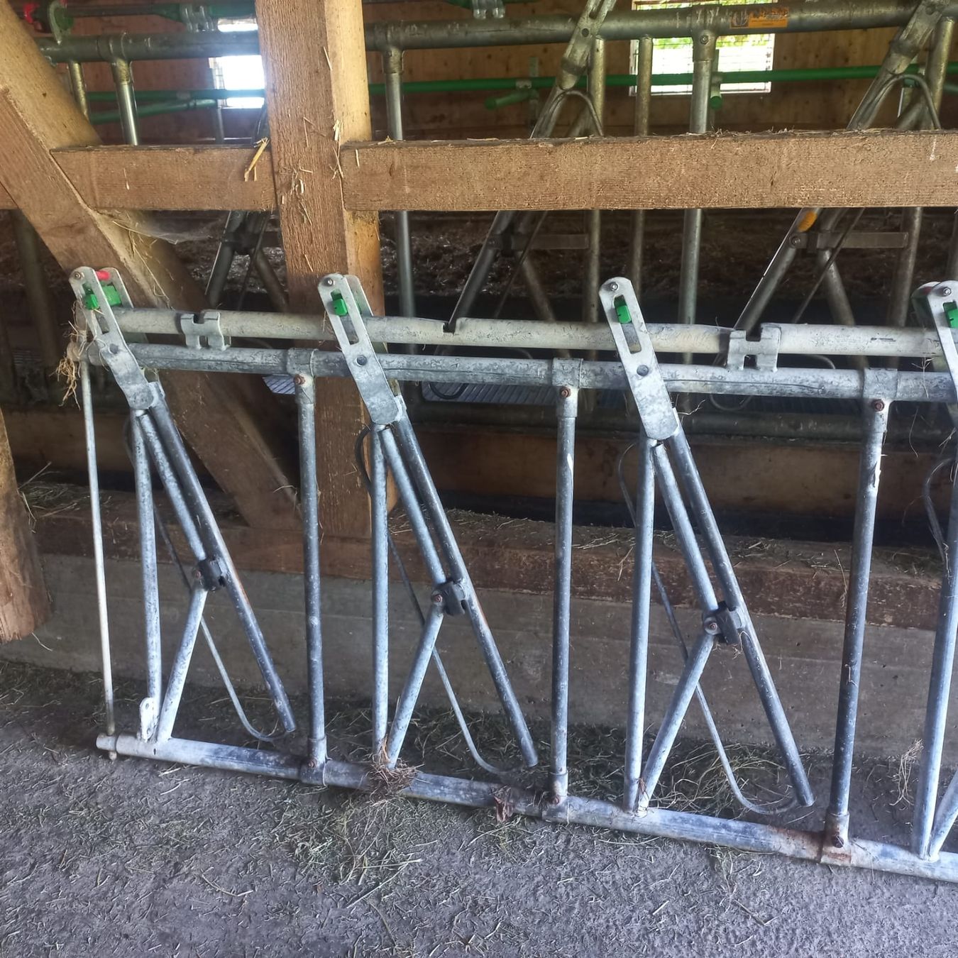 Altro in Accessori per animali: Ravagro Kälber Fressgitter – Usato da Rieden SG venduto da Sirene6
