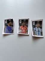 Panini WM 26