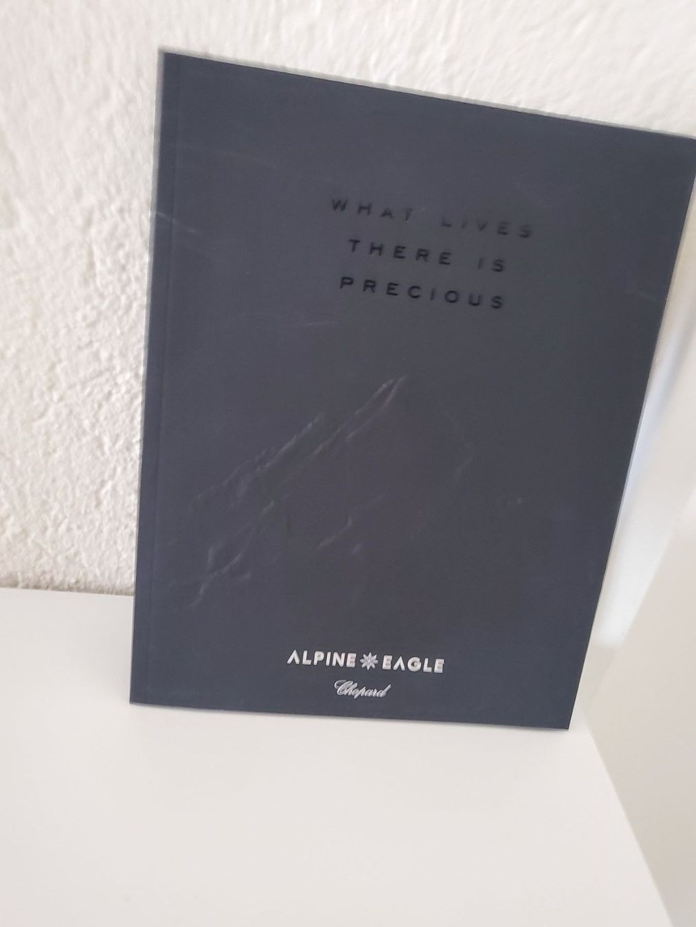 Libri: Chopard Alpine Eagle 2023 5stabiler Buch Einband Schwarz – Nuovo (secondo la descrizione) da Unterägeri venduto da 0alfa0 1