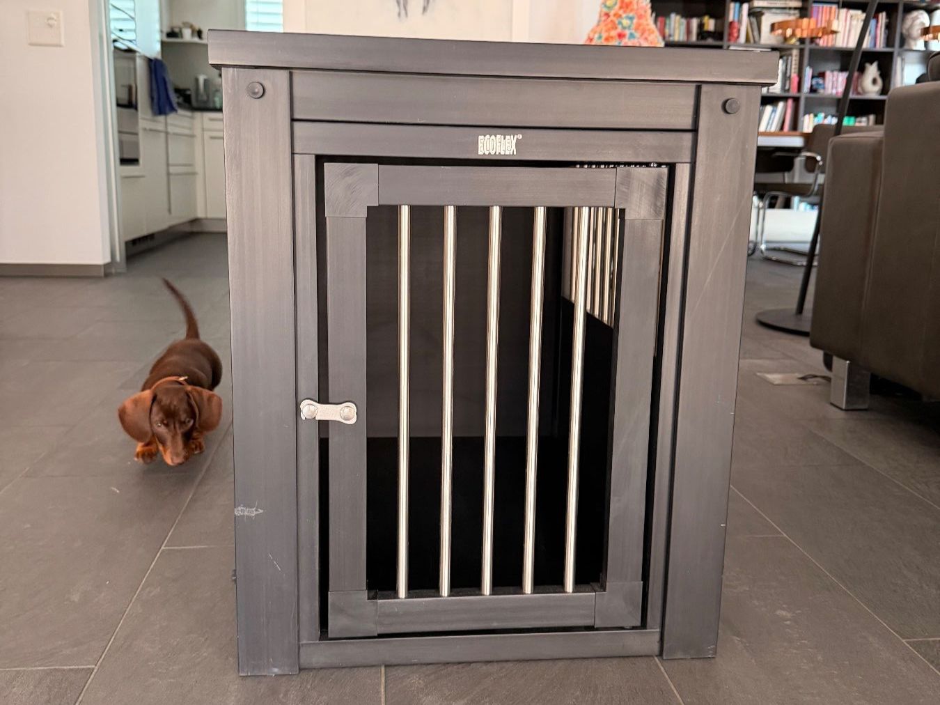 Cucce & Letti: Hundebox – Usato da Bern venduto da Fahrlaender