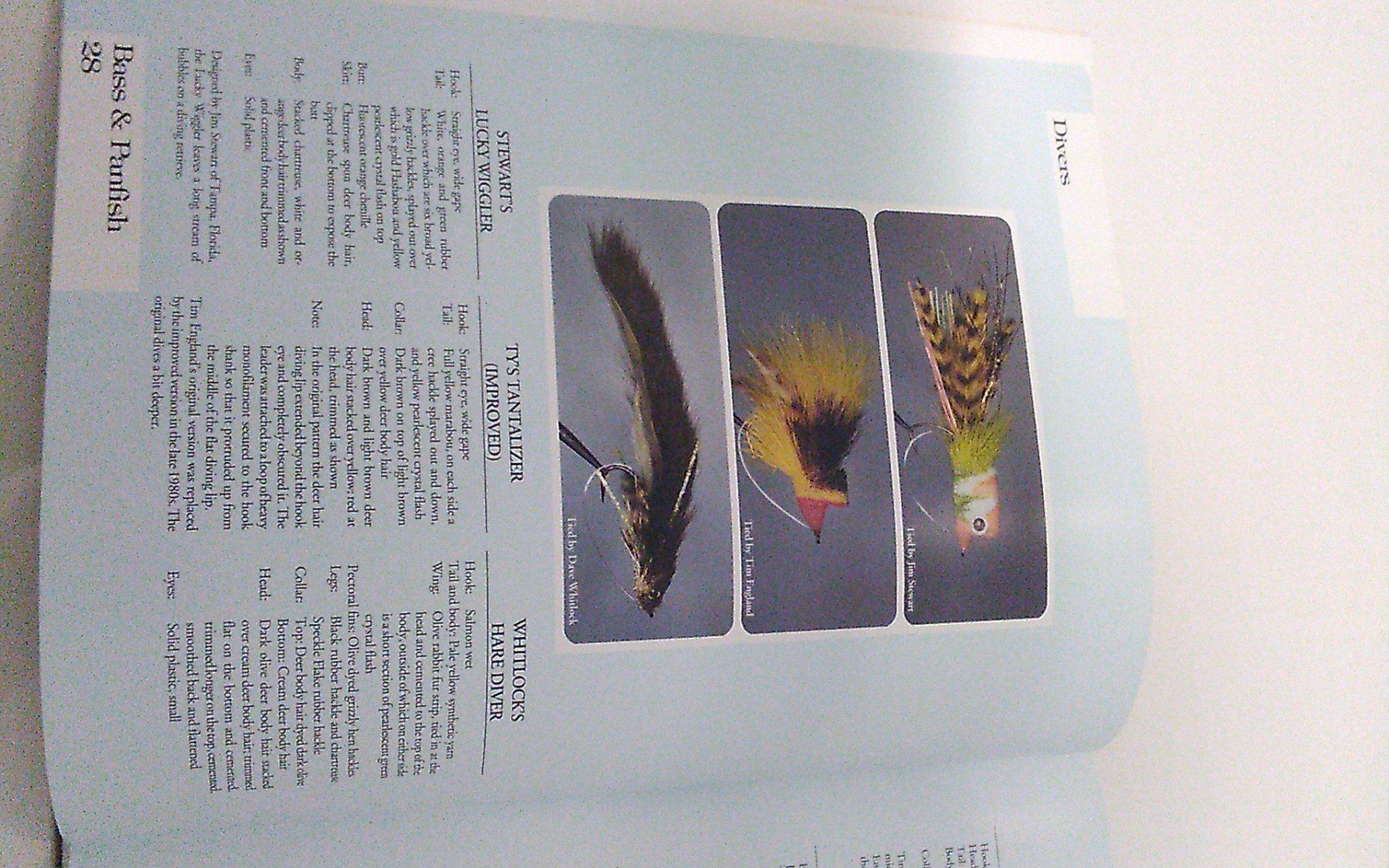 Bücher: Flies for Bass & Panfish – Gebraucht aus Magliaso von alex_TI 2