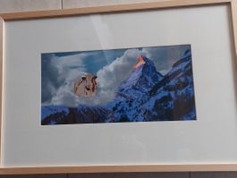 Originelle Foto Matterhorn mit Kuh