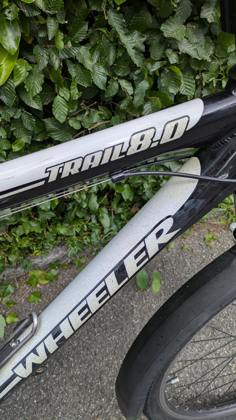 Wheeler Biciclette: Wheeler 26" Citybike – Usato da Lenzburg venduto da Okikukok 2