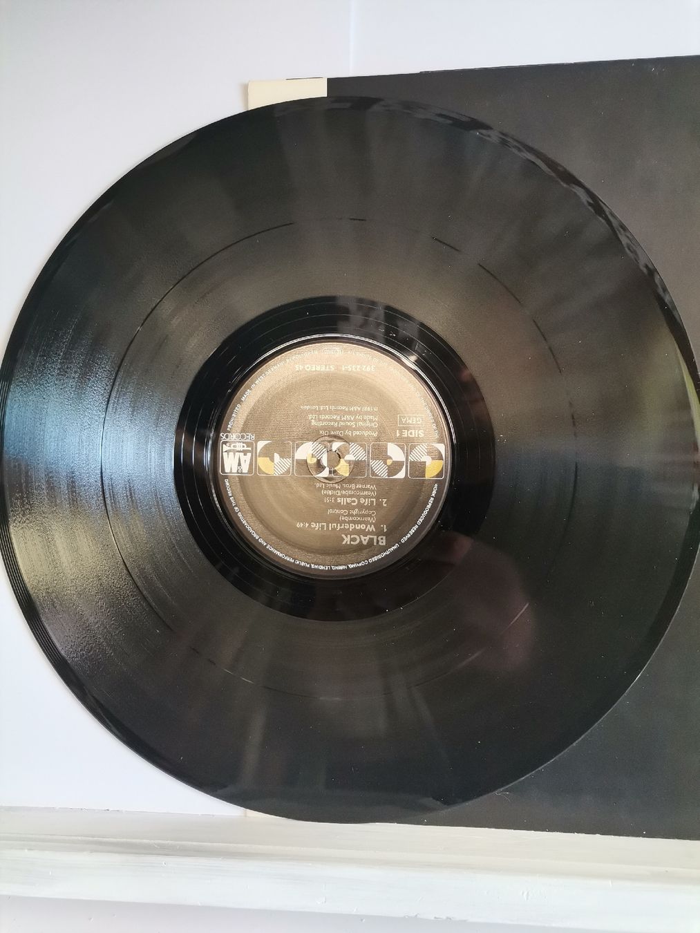 Dischi in vinile: Black - Wonderful Life LP – Usato da St. Gallen venduto da Bir_Rer 2