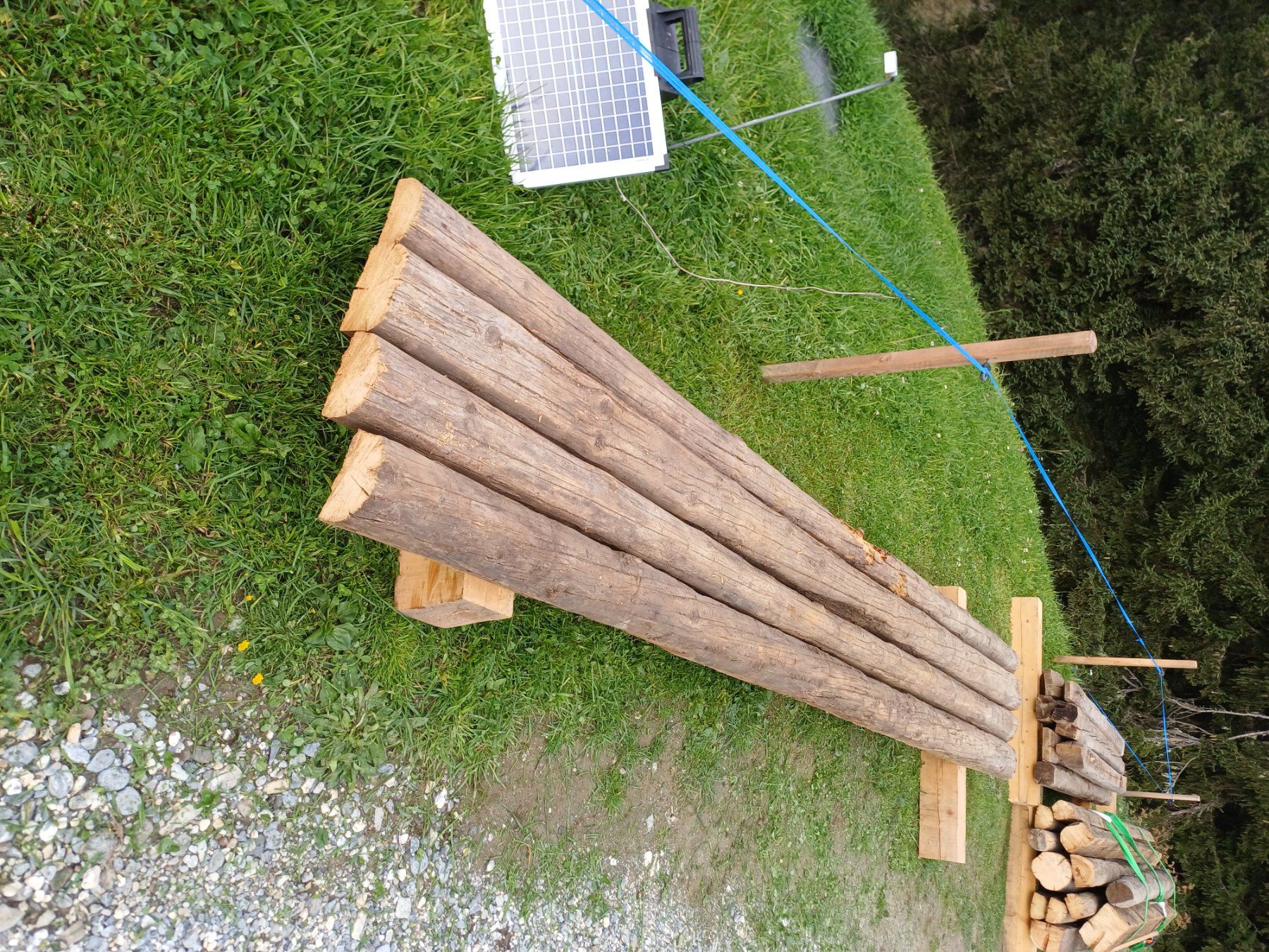 Articoli in legno: Altholz gratis abzuholen! – Usato da Ruschein venduto da mar_g9rm 2
