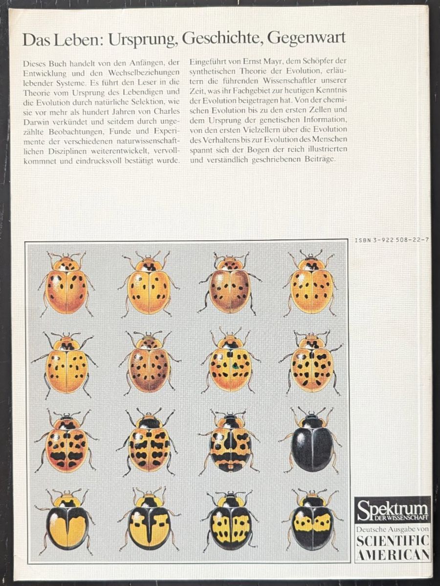 Livres: Spektrum der Wissenschaft: Evolution – D'occasion à Thalwil par sultan03 1