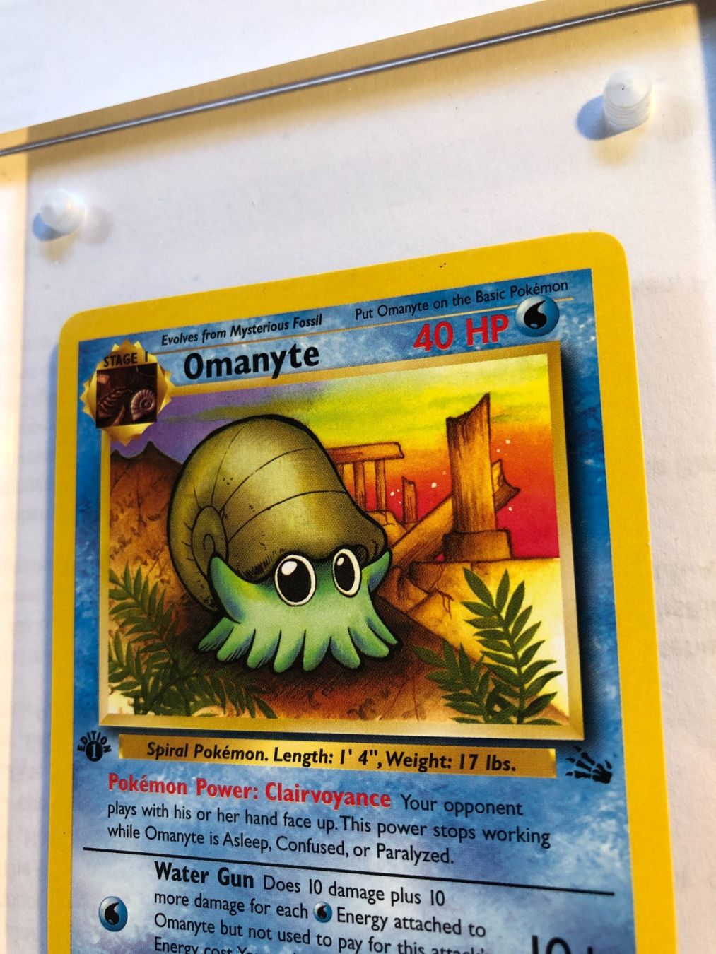 Carte collezionabili: Omanyte 1st Fossil - NM - ab 1.- – Usato da Giubiasco venduto da dan_pr8b 3