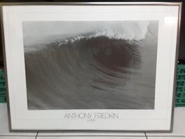 Bild von Anthony Friedkin,Wave