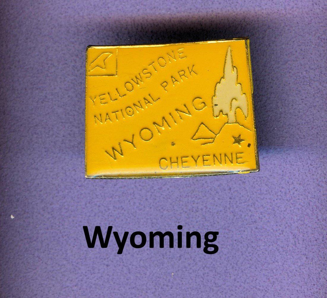 Placchette & Badge: USA   Wyoming – Usato da Winterthur venduto da Sammleroase