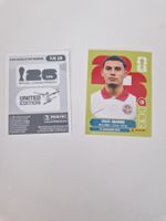 Panini Sticker TUN18