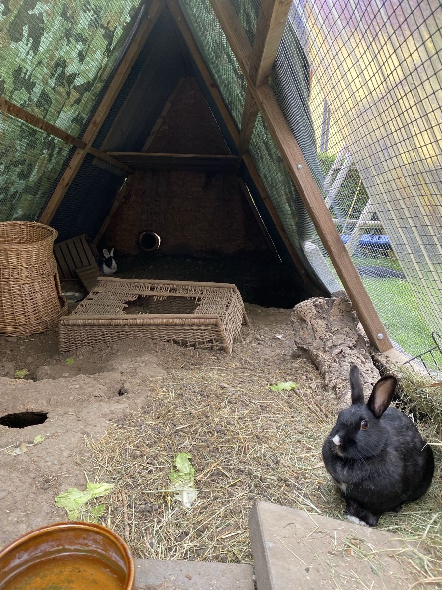 Käfige, Transport & Sicherheit: Kanninchenstall Hasengehege – Gebraucht aus Winterthur von tanscha 8