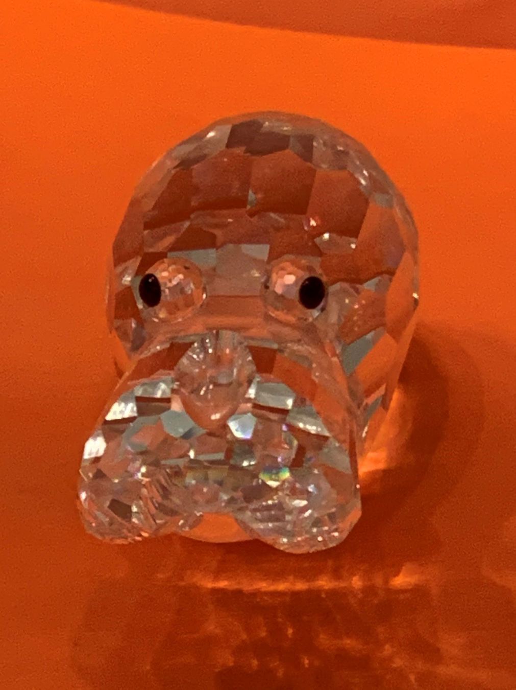 Swarovski Statuette: Swarovski Nildpferd – Nuovo (secondo la descrizione) da Oberglatt ZH venduto da Multimix 1