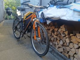 Mountainbike Damen 145-155cm
