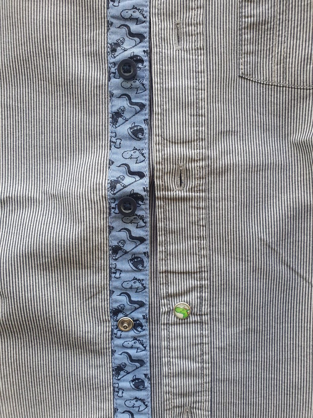 Camicie, T-shirt & Polo: NEU Hemd Gr. 110 – Nuovo e nell'imballaggio originale da Villars-sur-Glâne venduto da richardette 3