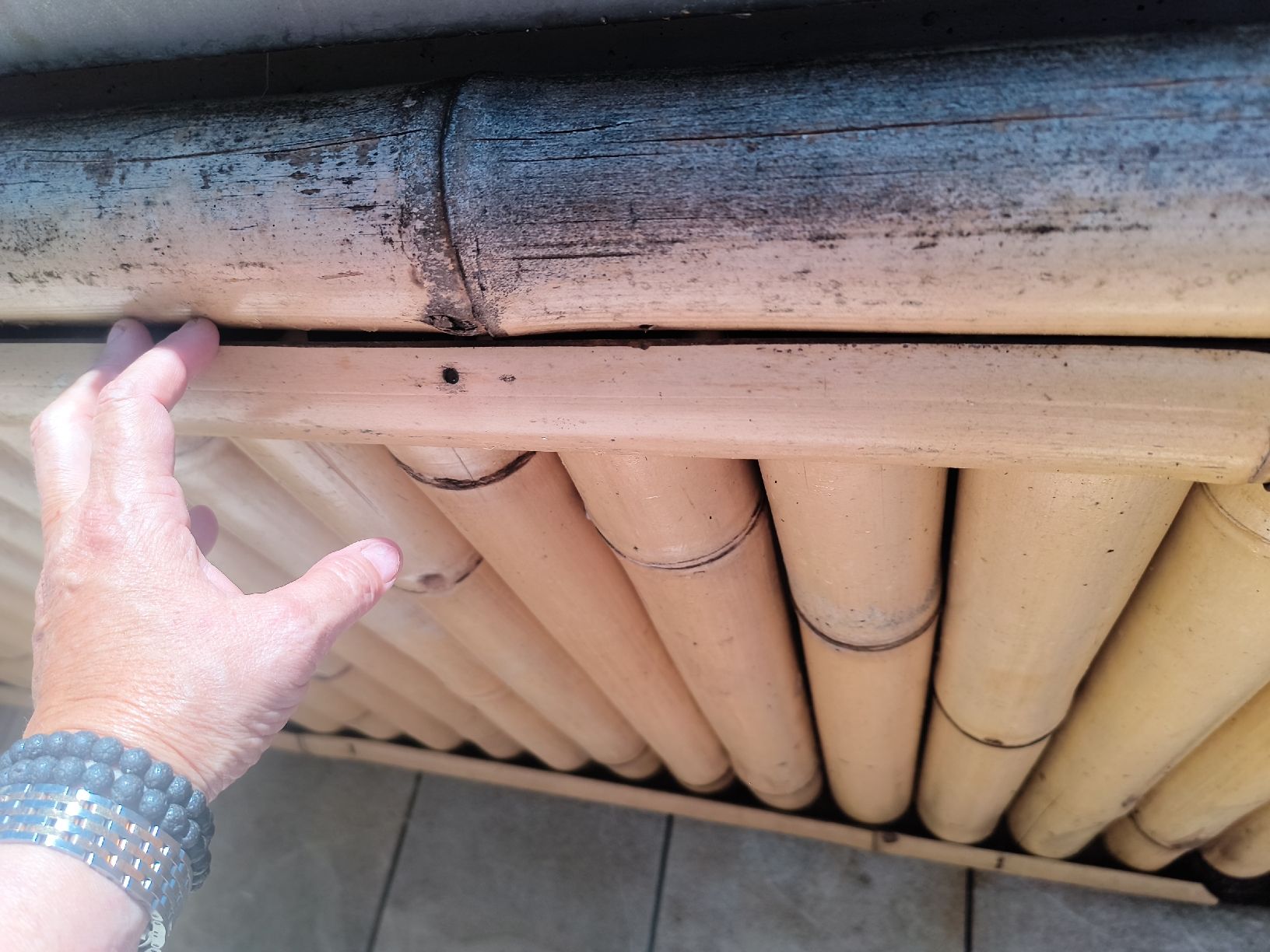 Paravents: Bambus Zaun /Sichtschutz – D'occasion à Niederglatt ZH par wit_rs5w 3