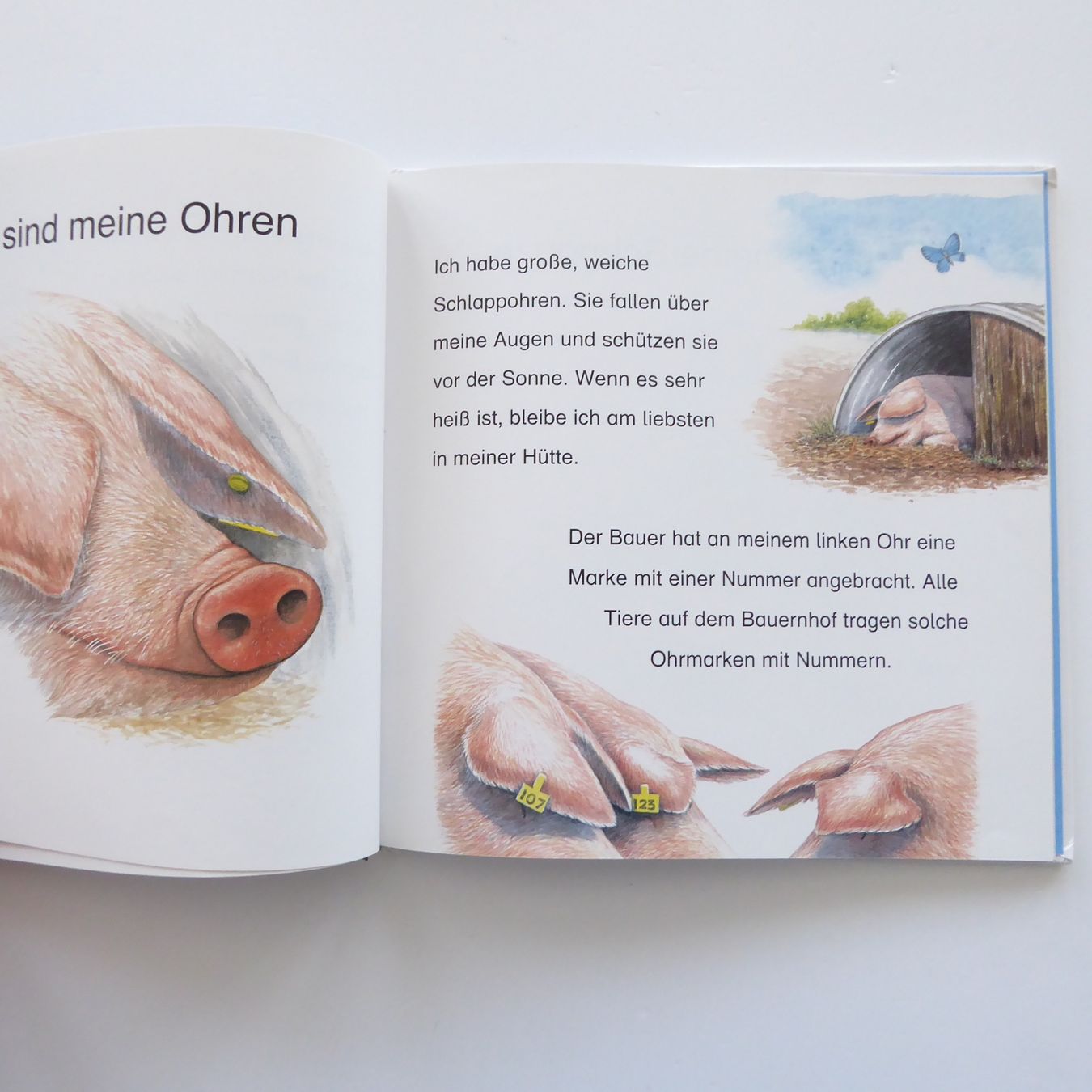 Livres: Wer bin ich? – D'occasion à Basel par Kunterbunt12 4