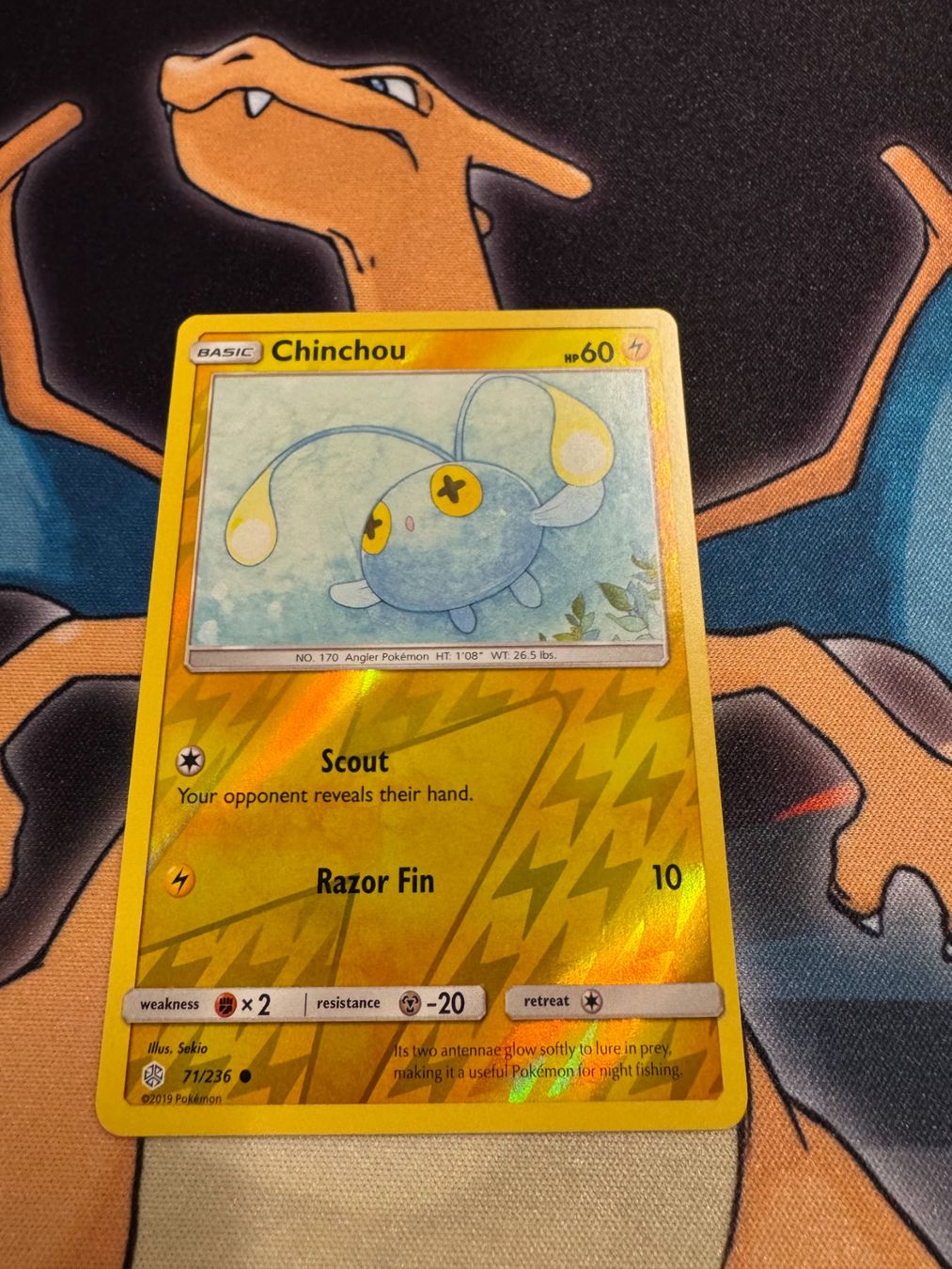 Pokémon Cartes à collectionner: Chinchou (CEC 71) - Reverse Holo - Cosmic Eclipse – Neuf (Voir description) à Bülach par Pfrenzel