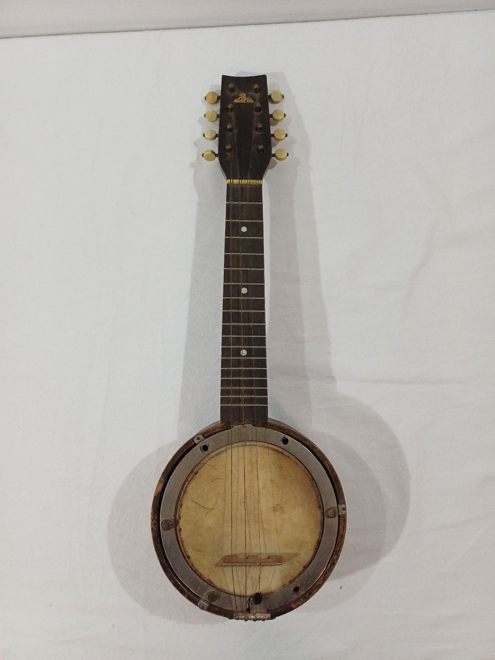 Strumenti musicali: Mandolinenbanjo – Usato da Luzern venduto da IG_Arbeit 1