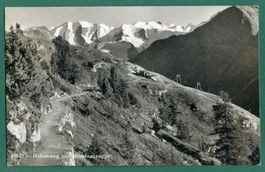 Pontresina, Höhenweg mit Berninagruppe, gelaufen 1961