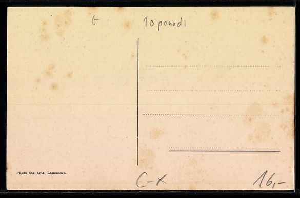 Cartoline postali: Lausanne, Maison de convalescence Boisso – Usato da Berlin venduto da bartko-reher 1